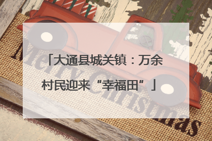 大通县城关镇：万余村民迎来“幸福田”