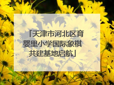 天津市河北区育婴里小学国际象棋共建基地启航