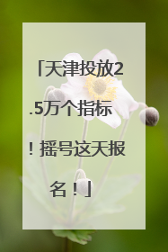 天津投放2.5万个指标！摇号这天报名！