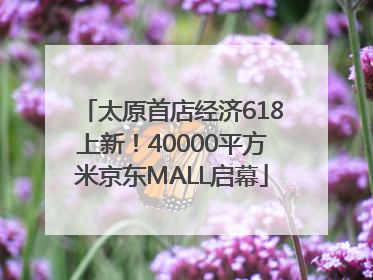 太原首店经济618上新！40000平方米京东MALL启幕