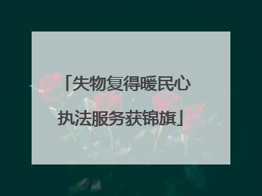 失物复得暖民心 执法服务获锦旗