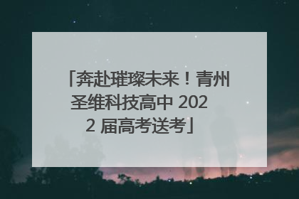 奔赴璀璨未来！青州圣维科技高中 2022 届高考送考