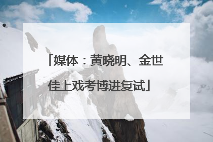 媒体：黄晓明、金世佳上戏考博进复试