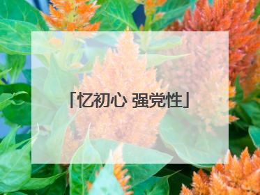 忆初心 强党性