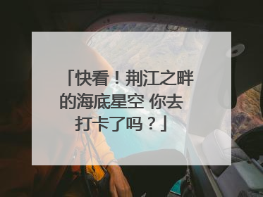 快看！荆江之畔的海底星空 你去打卡了吗？