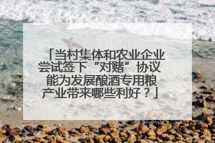 当村集体和农业企业尝试签下“对赌”协议 能为发展酿酒专用粮产业带来哪些利好？