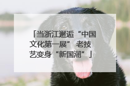 当浙江邂逅“中国文化第一展” 老技艺变身“新国潮”