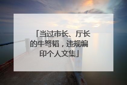 当过市长、厅长的牛弩韬，违规编印个人文集