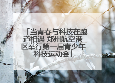 当青春与科技在跑道相遇 郑州航空港区举行第一届青少年科技运动会