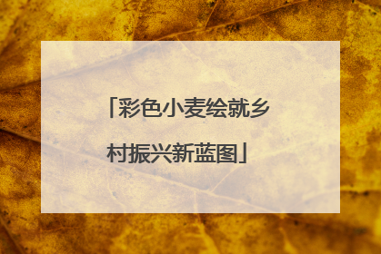 彩色小麦绘就乡村振兴新蓝图