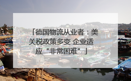 德国物流从业者：美关税政策多变 企业适应“非常困难”