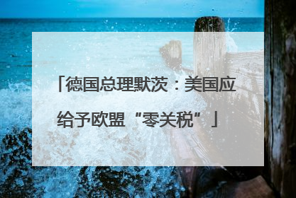德国总理默茨：美国应给予欧盟“零关税”