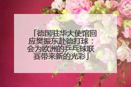 德国驻华大使馆回应樊振东赴德打球：会为欧洲的乒乓球联赛带来新的光彩