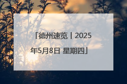 德州速览丨2025年5月8日 星期四