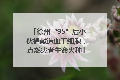 徐州“95”后小伙捐献造血干细胞，点燃患者生命火种