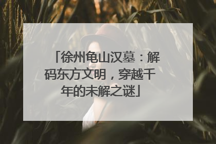 徐州龟山汉墓：解码东方文明，穿越千年的未解之谜