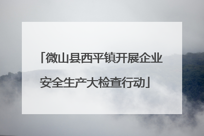 微山县西平镇开展企业安全生产大检查行动