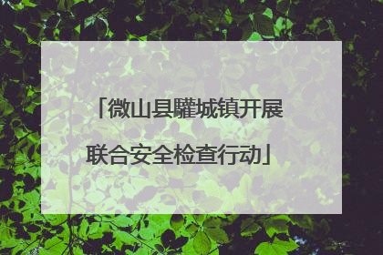 微山县驩城镇开展联合安全检查行动