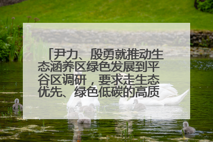 尹力、殷勇就推动生态涵养区绿色发展到平谷区调研，要求走生态优先、绿色低碳的高质量发展之路