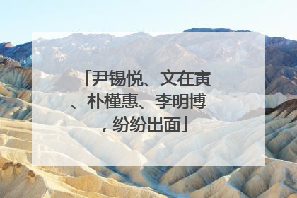 尹锡悦、文在寅、朴槿惠、李明博，纷纷出面