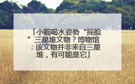 小猫喝水姿势“撞脸”三星堆文物？博物馆：该文物并非来自三星堆，有可能是它