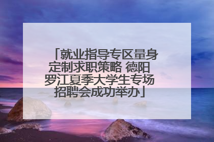 就业指导专区量身定制求职策略 德阳罗江夏季大学生专场招聘会成功举办