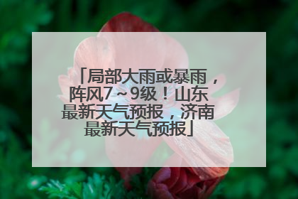 局部大雨或暴雨，阵风7～9级！山东最新天气预报，济南最新天气预报