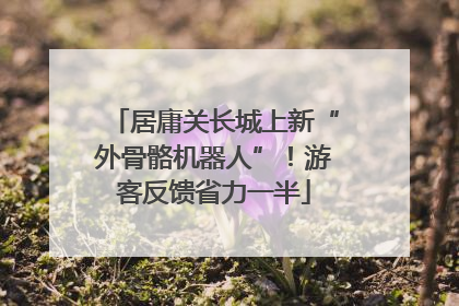 居庸关长城上新“外骨骼机器人”！游客反馈省力一半
