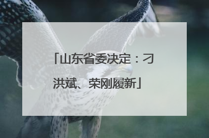 山东省委决定：刁洪斌、荣刚履新