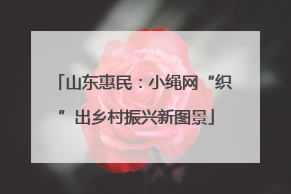 山东惠民：小绳网“织”出乡村振兴新图景