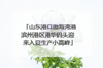 山东港口渤海湾港滨州港区港华码头迎来入夏生产小高峰