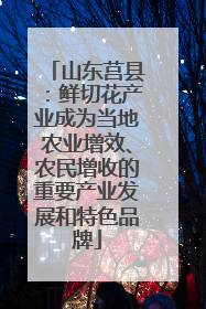 山东莒县：鲜切花产业成为当地农业增效、农民增收的重要产业发展和特色品牌
