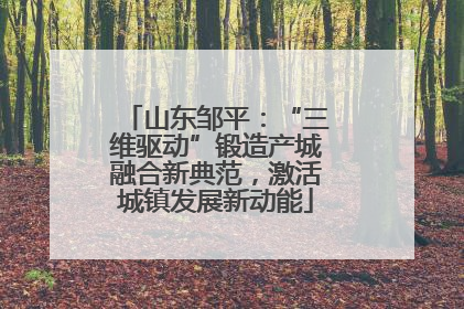 山东邹平：“三维驱动”锻造产城融合新典范，激活城镇发展新动能