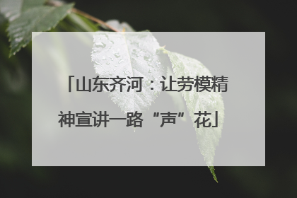 山东齐河：让劳模精神宣讲一路“声”花