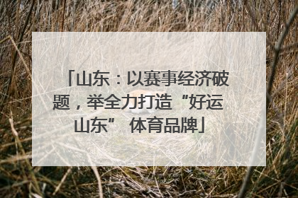 山东：以赛事经济破题，举全力打造“好运山东” 体育品牌
