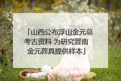 山西公布浮山金元墓考古资料 为研究晋南金元葬具提供样本