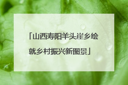 山西寿阳羊头崖乡绘就乡村振兴新图景