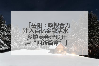 岳阳：政银合力注入百亿金融活水 乡镇商会建设开启“四新篇章”