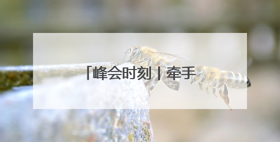 峰会时刻丨牵手中亚伙伴 共谱能源合作新篇章