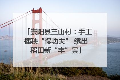 崇阳县三山村：手工插秧“慢功夫” 绣出稻田新“丰”景