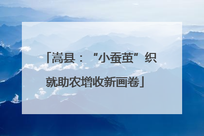 嵩县：“小蚕茧”织就助农增收新画卷