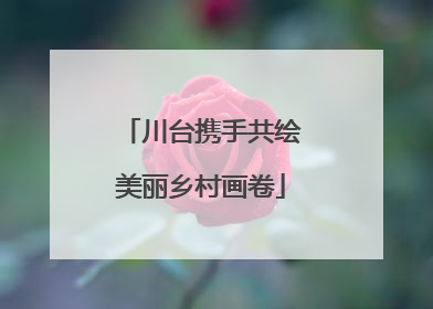 川台携手共绘美丽乡村画卷