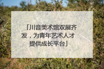 川音美术馆双展齐发，为青年艺术人才提供成长平台