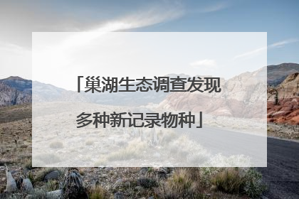 巢湖生态调查发现多种新记录物种