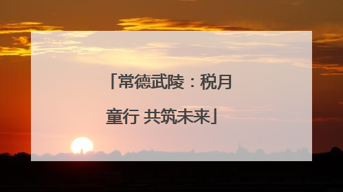 常德武陵：税月童行 共筑未来