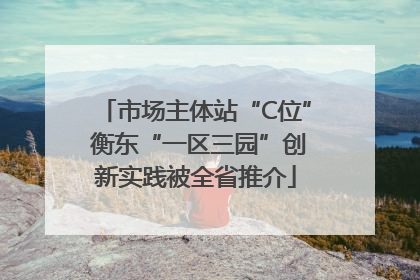 市场主体站“C位” 衡东“一区三园”创新实践被全省推介