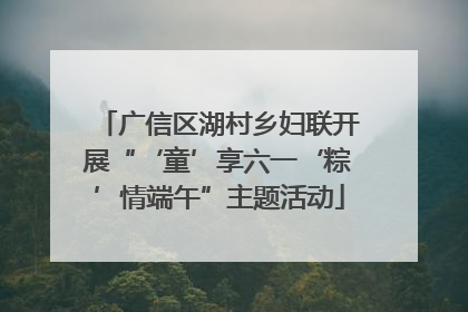 广信区湖村乡妇联开展“‘童’享六一‘粽’情端午”主题活动