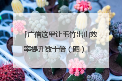 广信这里让毛竹出山效率提升数十倍（图）