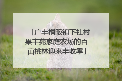 广丰桐畈镇下社村果丰苑家庭农场的百亩桃林迎来丰收季
