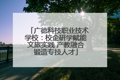 广德科技职业技术学校：校企研学赋能文旅实践 产教融合锻造专技人才